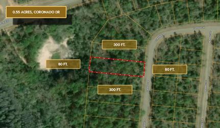 Timberland Property in Washington County, Florida