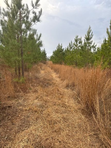 Farm and Ranch for sale in Lexington County, South Carolina