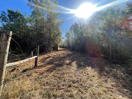 Farm and Ranch for sale in Polk County, Texas
