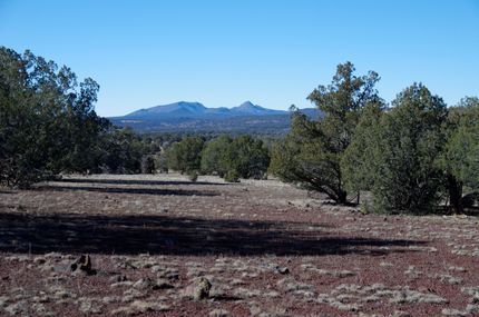 Farm and Ranch for sale in Coconino County, Arizona