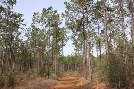 Land for sale in Nacogdoches County, Texas