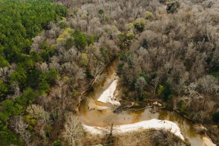 Land for sale in Newton County, Mississippi