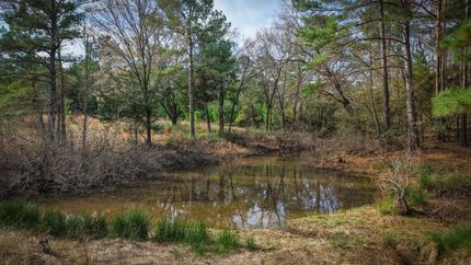 Farm and Ranch for sale in Leon County, Texas