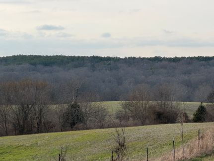 Timberland Property for sale in Pope County, Illinois