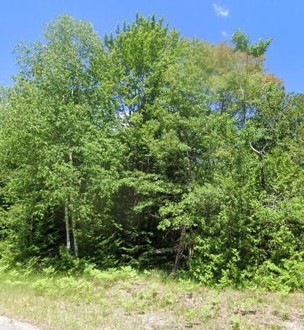 Timberland Property for sale in Iosco County, Michigan
