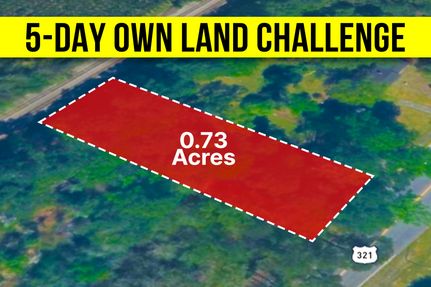 Undeveloped Land for sale in Bamberg County, South Carolina