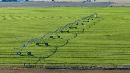 Farm and Ranch for sale in Adams County, Washington