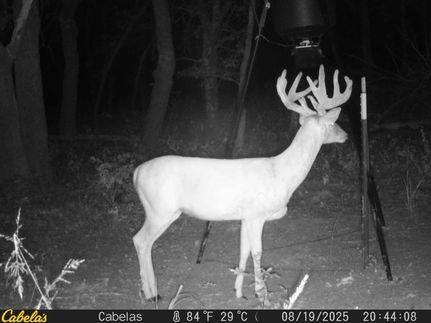 Farm and Ranch for sale in Hughes County, Oklahoma