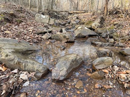 Timberland Property in Stone County, Arkansas