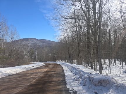 Recreational Property for sale in Delaware County, New York