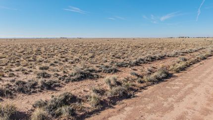 Undeveloped Land for sale in Navajo County, Arizona