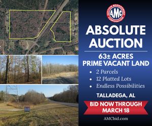 Timberland Property for sale in Talladega County, Alabama