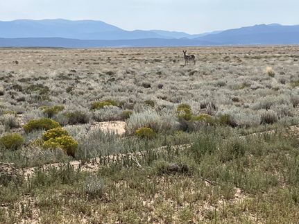 Recreational Property for sale in Costilla County, Colorado