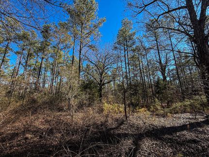 Recreational Property for sale in Clay County, Mississippi