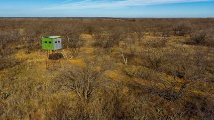 Undeveloped Land for sale in Young County, Texas