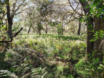 Recreational Property for sale in Volusia County, Florida