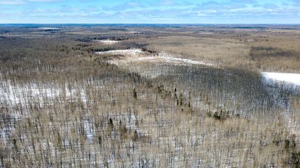 Timberland Property in Price County, Wisconsin