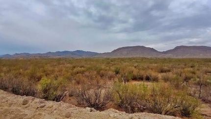 Timberland Property for sale in Culberson County, Texas