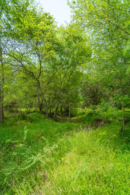 Farm and Ranch for sale in Goliad County, Texas