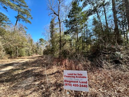 Recreational Property for sale in Tyler County, Texas