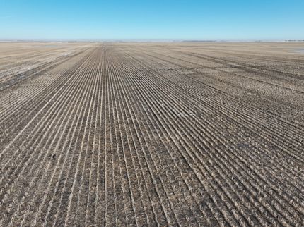 Farm and Ranch for sale in Bottineau County, North Dakota