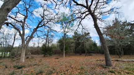 Undeveloped Land for sale in Burleson County, Texas