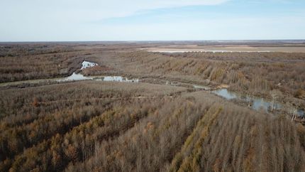 Farm and Ranch for sale in Monroe County, Arkansas