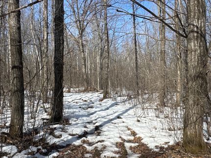 Recreational Property for sale in Barron County, Wisconsin