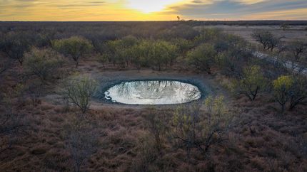 Farm and Ranch for sale in Dimmit County, Texas