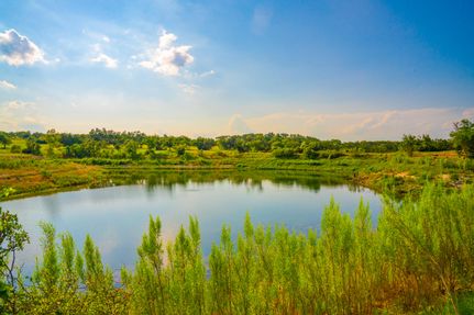 Farm and Ranch for sale in Hays County, Texas