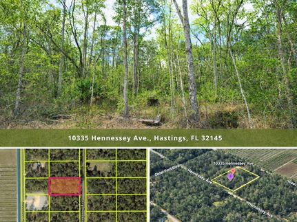 Timberland Property for sale in Saint Johns County, Florida