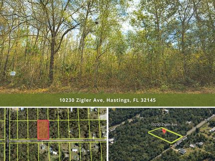 Farm and Ranch for sale in Saint Johns County, Florida
