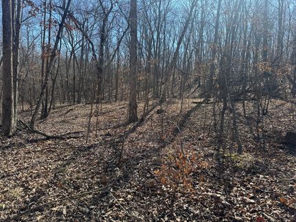 Farm and Ranch for sale in Ralls County, Missouri