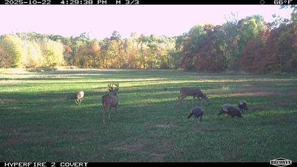 Farm and Ranch for sale in Vermillion County, Indiana