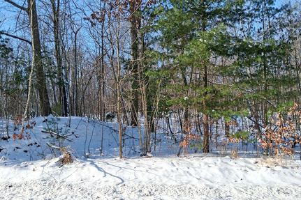 Recreational Property for sale in Sawyer County, Wisconsin