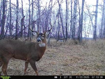 Land for sale in Rusk County, Wisconsin
