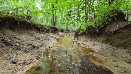 Land for sale in Choctaw County, Mississippi