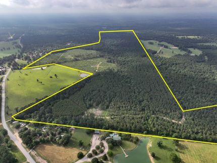 Timberland Property for sale in San Jacinto County, Texas