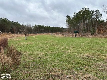 Hunting Property in Sussex County, Delaware