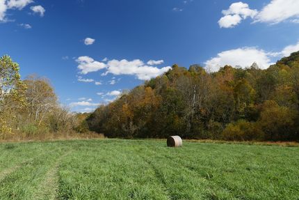 Land for sale in Scott County, Virginia