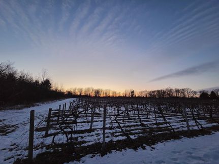 Land for sale in Yates County, New York