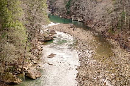 Timberland Property for sale in Fentress County, Tennessee