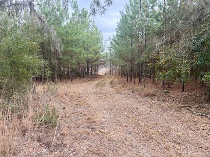 Land for sale in Madison County, Florida