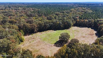 Timberland Property for sale in Claiborne County, Mississippi