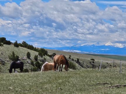 Timberland Property for sale in Gallatin County, Montana