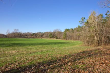 Land for sale in Fayette County, Tennessee