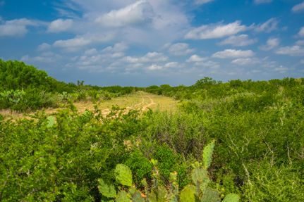 Farm and Ranch for sale in Jim Hogg County, Texas