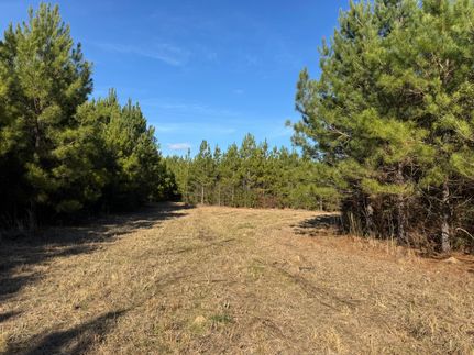 Land for sale in Walthall County, Mississippi