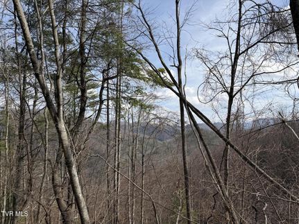 Undeveloped Land for sale in Johnson County, Tennessee