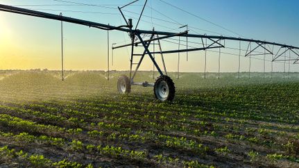 Farm and Ranch for sale in Red River County, Texas